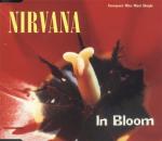 1991 - in bloom.jpg