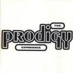 1992 - Experience.jpg
