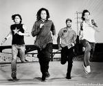 ratm3.jpg