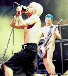 RHCP4.jpg