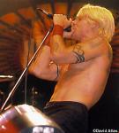 RHCP7.jpg