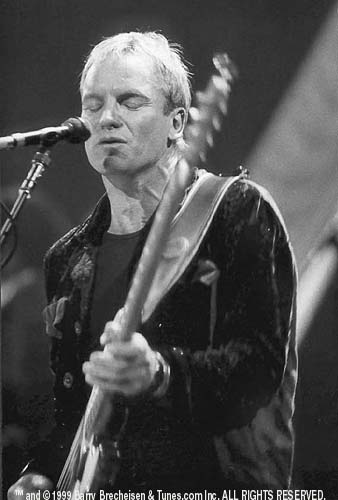 Sting 01.jpg