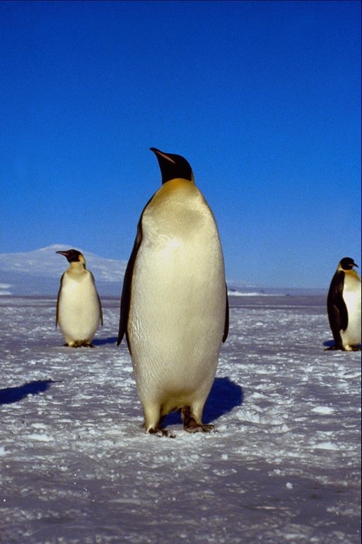 541079.JPG