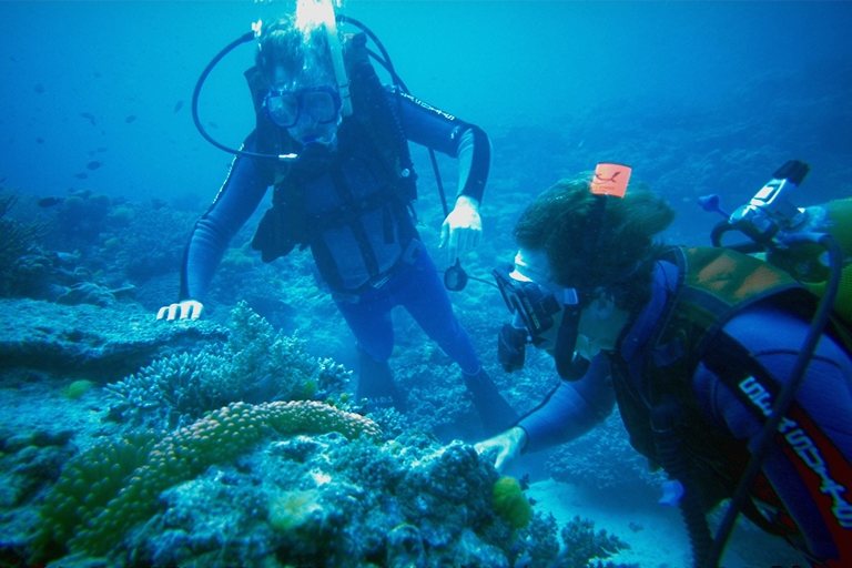 водолазы обследуют морское дно