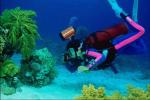 diver collapsed