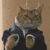Картинка с танцующим котом в одежде